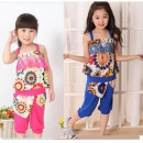 【Spring and summer high quality goods romantic summer set 2 sets】 delicate cotton cute flower set 2 sets - casual wind pants + pants + spring and summer children's clothing 100-140