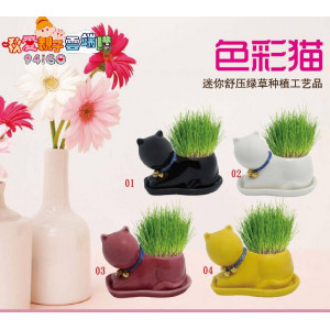 DIY桌面迷你盆栽幸運草,長草娃娃【綠能環保愛地球,啟蒙來自父母的用心教會小孩生命的開始】草頭娃娃植物栽培 /桌上盆栽/居家造景/布置/環保綠能/有意義的兒童節禮物